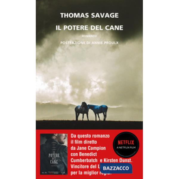 Potere del cane (Il)