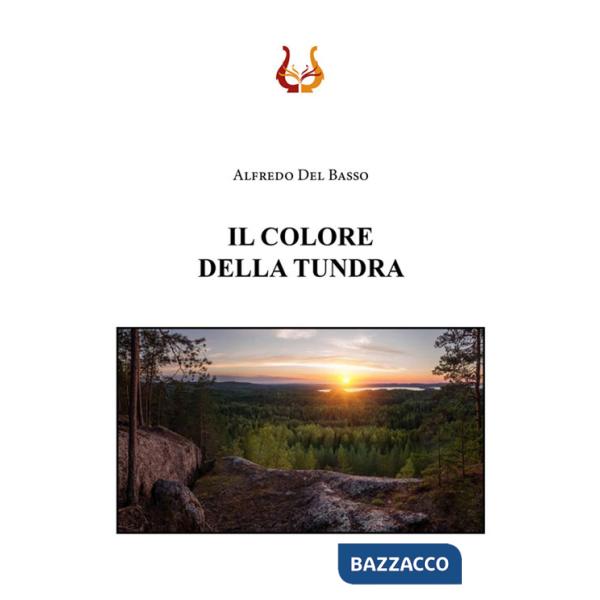 Colore della tundra (Il)