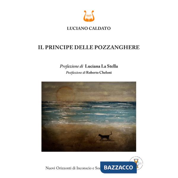Principe delle pozzanghere (Il)