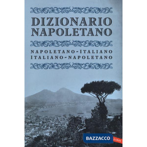 Dizionario napoletano. Nuova ediz.