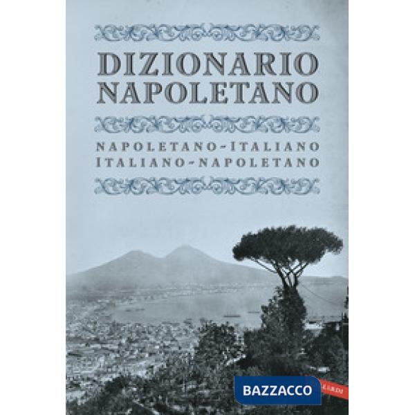 Dizionario napoletano