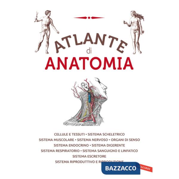 Atlante di anatomia