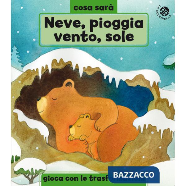 Neve, pioggia, vento o sole? Le stagioni. Ediz. a colori