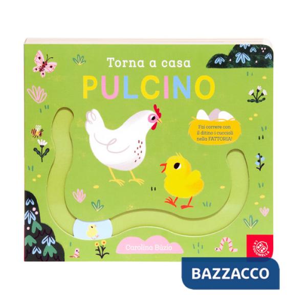 Torna a casa pulcino. Ediz. a colori