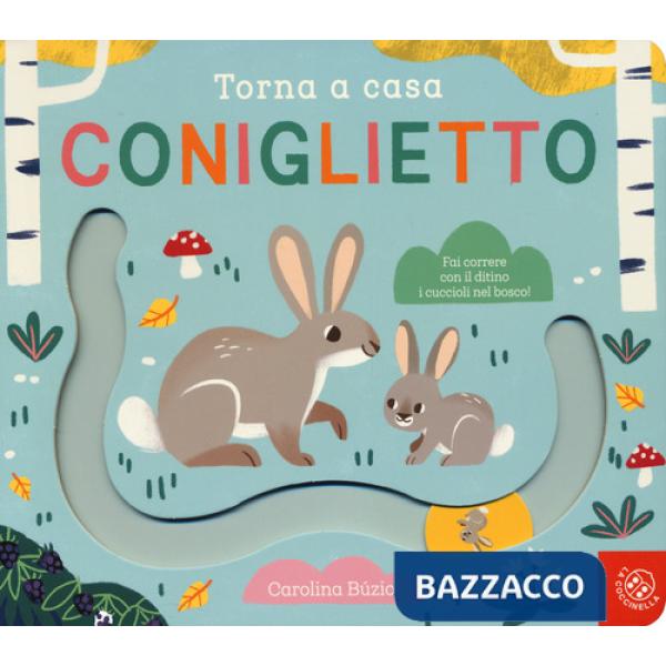 Torna a casa coniglietto. Ediz. a colori