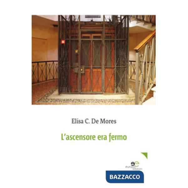 Ascensore era fermo (L')