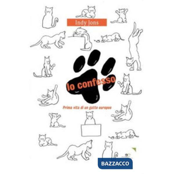 Io confesso. Prima vita di un gatto europeo