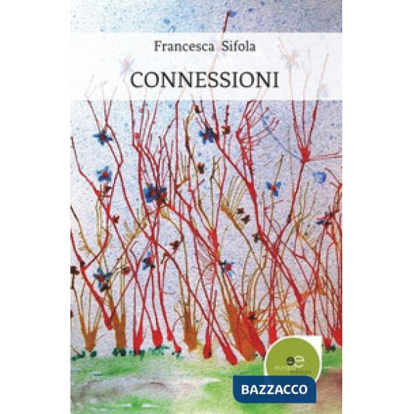 Connessioni