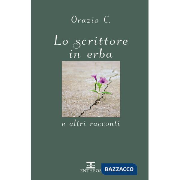 Scrittore in erba e altri racconti. Nuova ediz. (Lo)