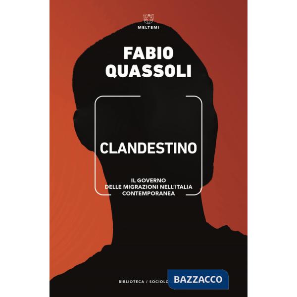 Clandestino. Il governo delle migrazioni nell'Italia contemporanea