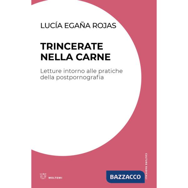 Trincerate nella carne. Letture intorno alle pratiche della postpornografia
