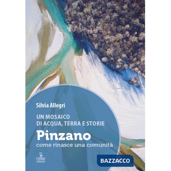 Mosaico di acqua, terra e storie. Pinzano, come rinasce una comunità. Ediz. a colori (Un)