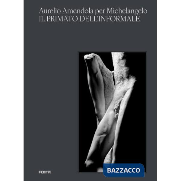 Aurelio Amendola per Michelangelo. Il primato dell'informale. Catalogo della mostra (Firenze, 3 novembre 2024-5 gennaio 2025)