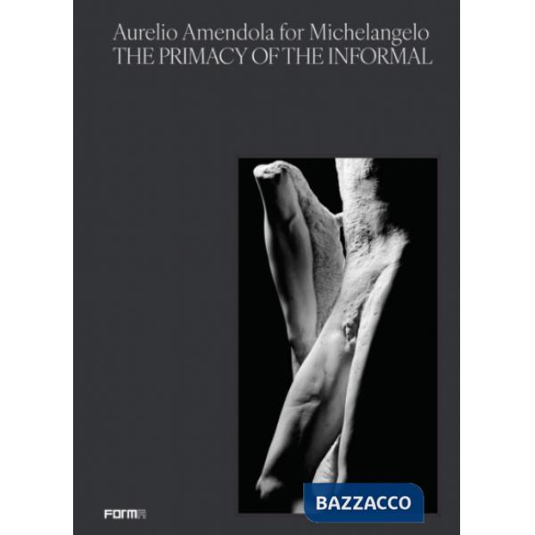 Aurelio Amendola for Michelangelo. The primacy of the informal. Catalogo della mostra (Firenze, 3 novembre 2024-5 gennaio 2025)