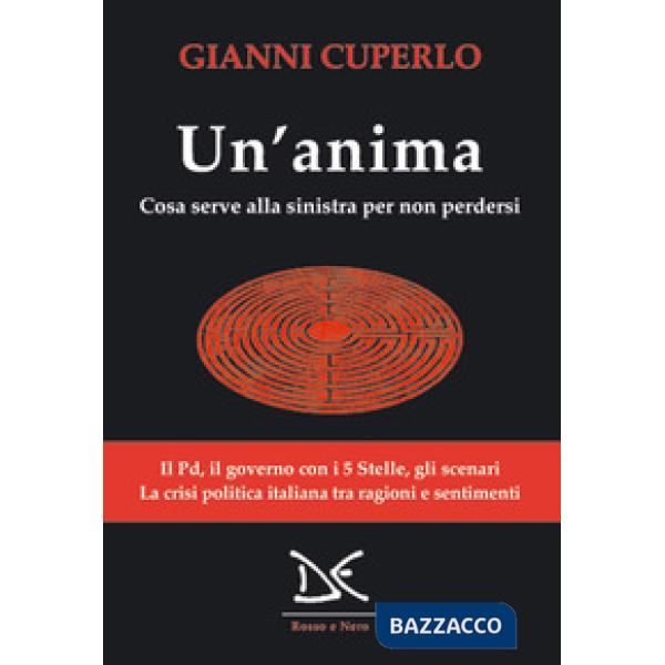 Anima. Cosa serve alla sinistra per non perdersi (Un')