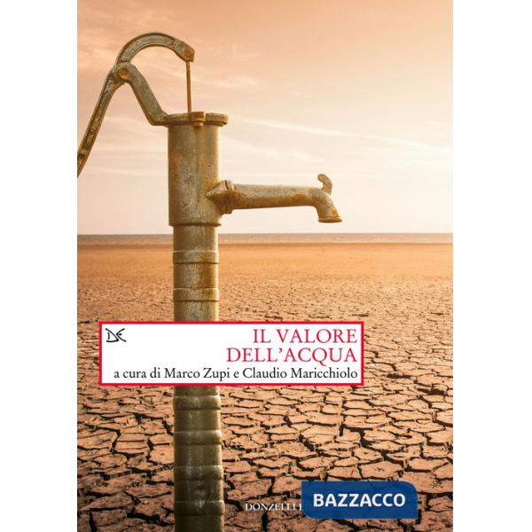 Valore dell'acqua (Il)