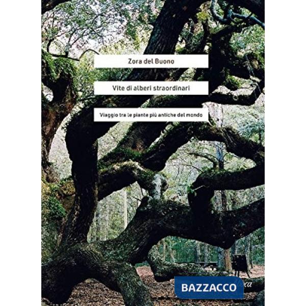 Vite di alberi straordinari. Viaggio tra le piante più antiche del mondo