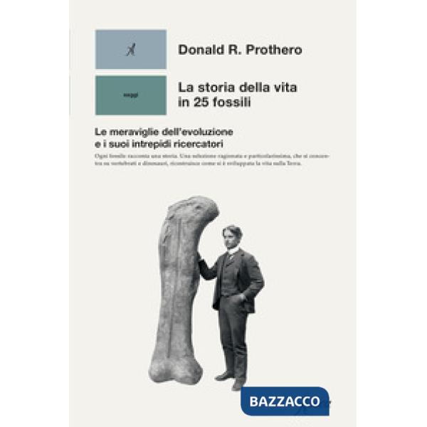 Storia della vita in 25 fossili. Le meraviglie dell'evoluzione e i suoi intrepidi ricercatori (La)