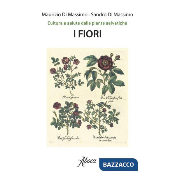 Fiori. Cultura e salute dalle piante selvatiche (I)