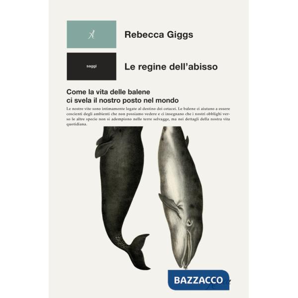 Regine dell'abisso. Come la vita delle balene ci svela il nostro posto nel mondo (Le)