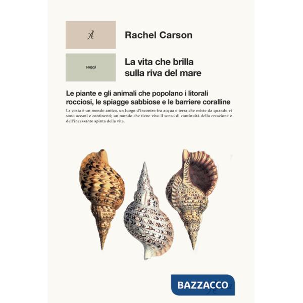 Vita che brilla sulla riva del mare. Le piante e gli animali che popolano i litorali rocciosi, le spiagge sabbiose e le barriere
