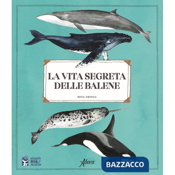 Vita segreta delle balene (La)