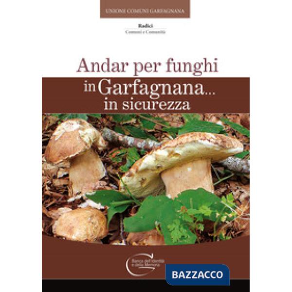 Andar per funghi in Garfagnana in sicurezza