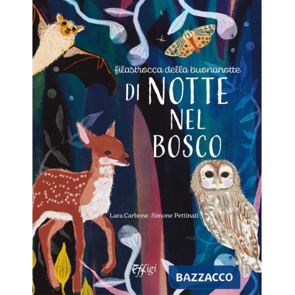Di notte nel bosco. Ediz. illustrata