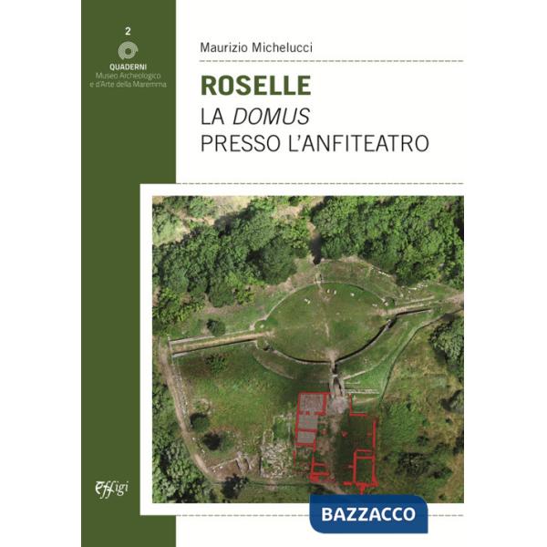 Roselle. La domus presso l'anfiteatro