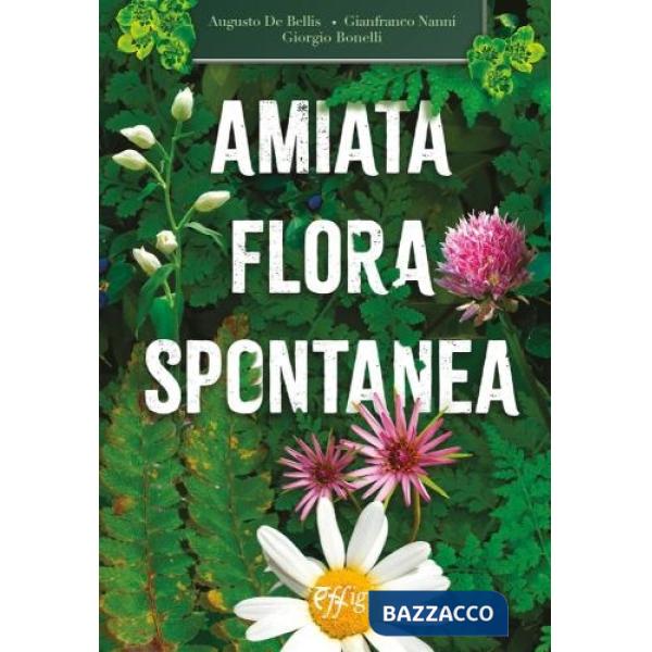 Amiata flora spontanea