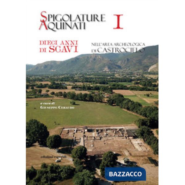 Spigolature Aquinati. Dieci anni di scavi nell'area archeologica di Castrocielo. Vol. 1