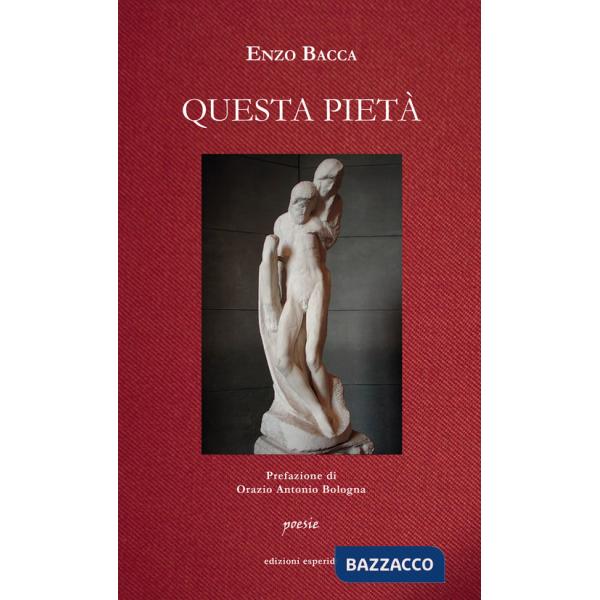 Questa pietà. Poesie