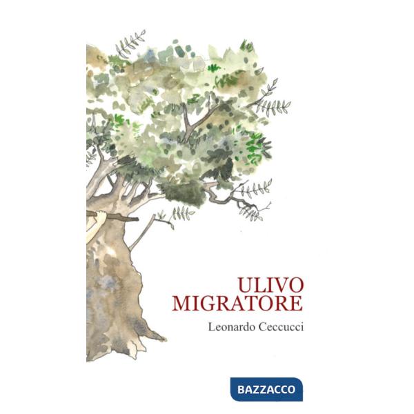 Ulivo migratore