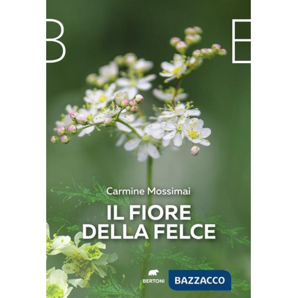 Fiore della felce (Il)