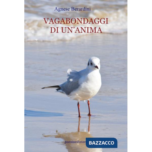 Vagabondaggi di un'anima
