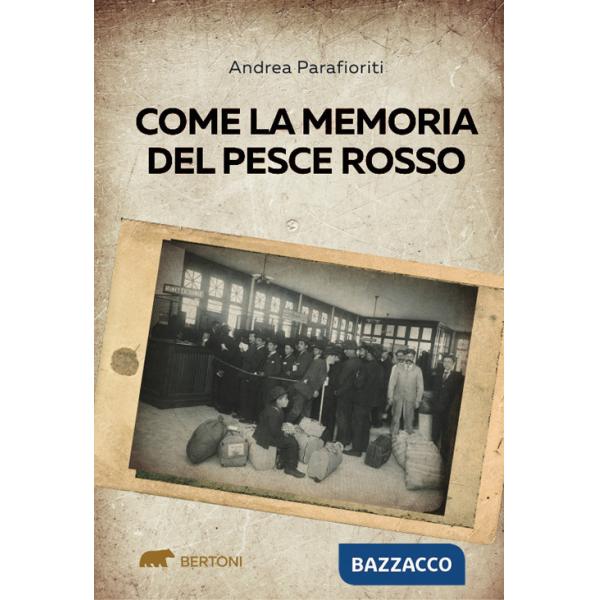 Come la memoria del pesce rosso