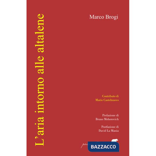 Aria intorno alle altalene (L')