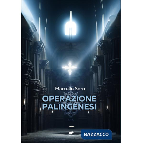Operazione palingenesi
