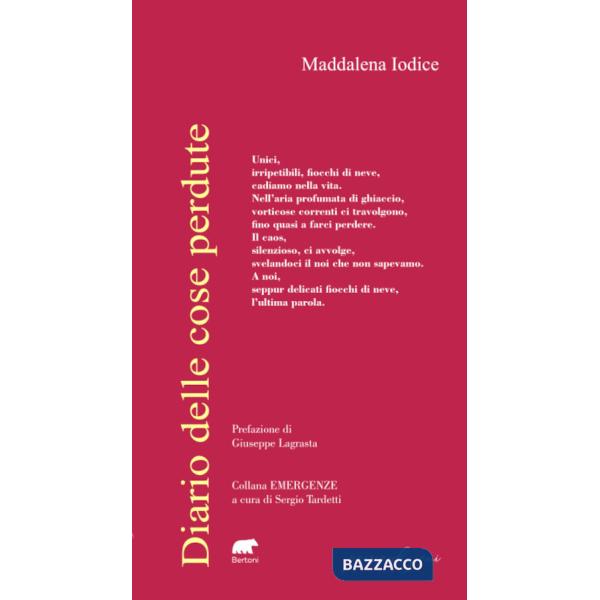 Diario delle cose perdute