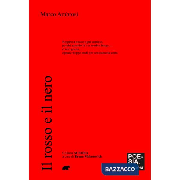 Rosso e il nero (Il)