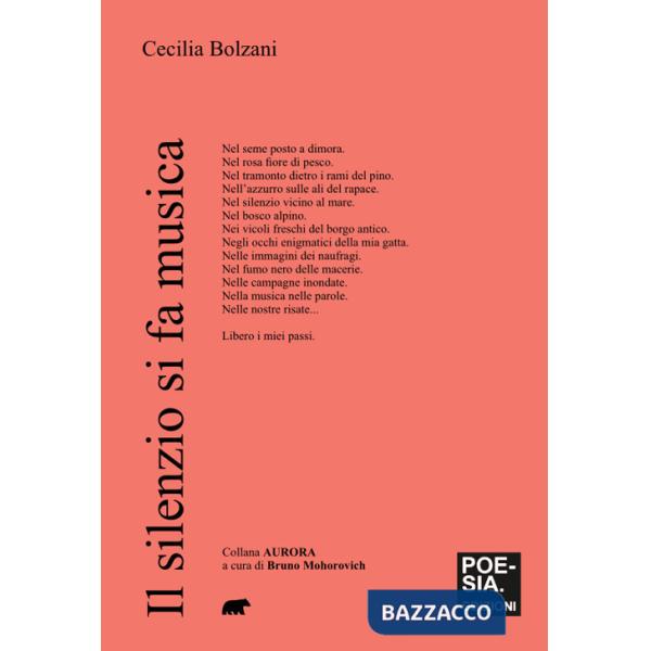 Silenzio si fa musica (Il)