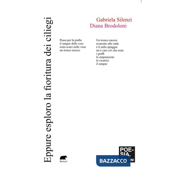 Eppure esploro la fioritura dei ciliegi