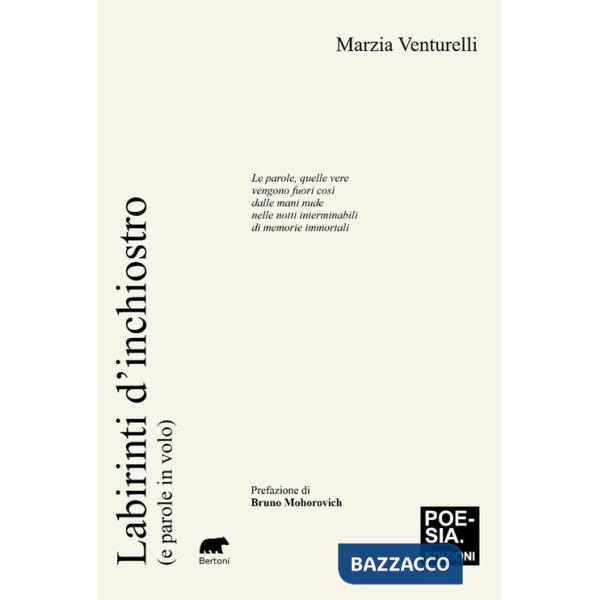 Labirinti d'inchiostro (e parole in volo)