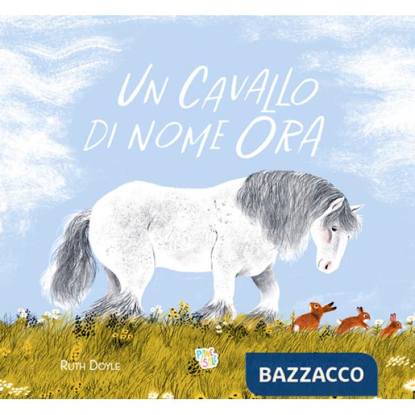 Cavallo di nome Ora. Ediz. a colori (Un)