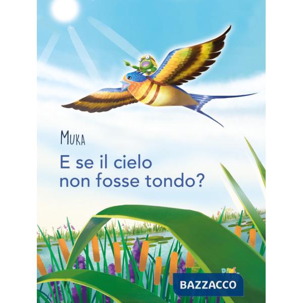 E se il cielo non fosse tondo? Ediz. a colori
