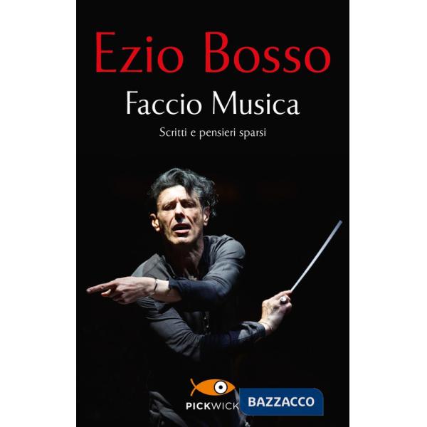 Faccio Musica. Scritti e pensieri sparsi