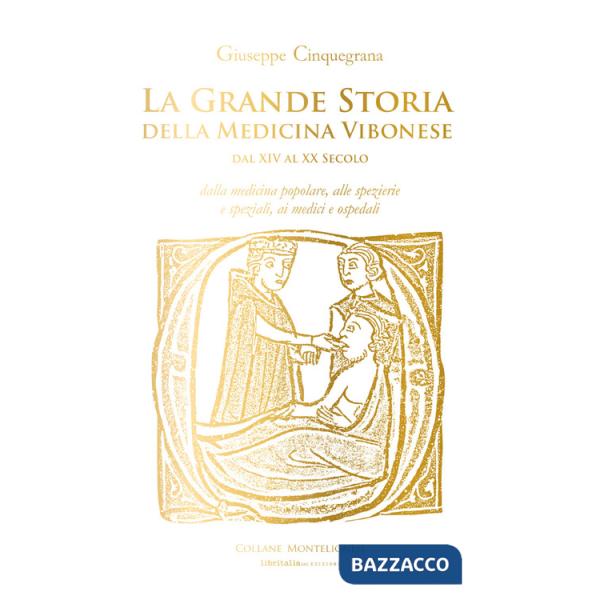 Grande storia della medicina vibonese dal XIV al XX secolo. Dalla medicina popolare, alle spezierie e speziali, ai medici e ospe