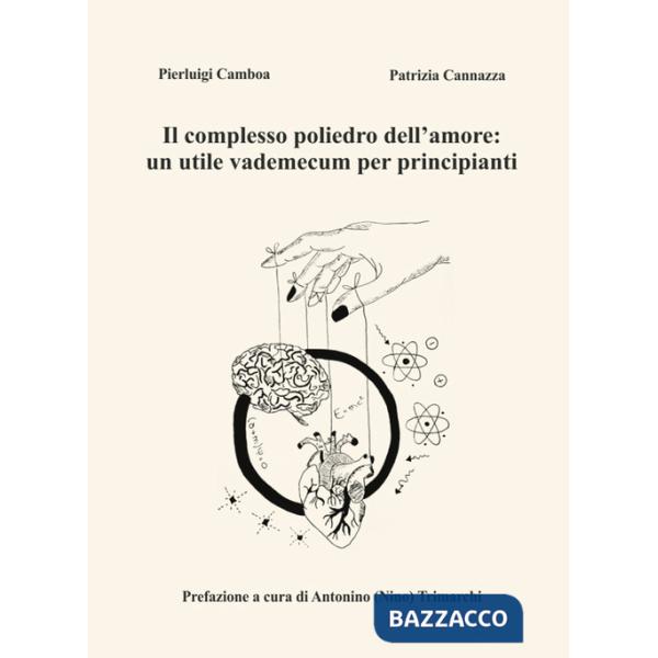 Complesso poliedro dell'amore: un utile vademecum per principianti (Il)