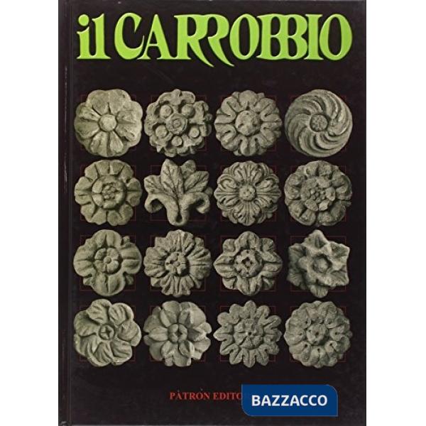 Carrobbio. Tradizioni, problemi, immagini dell'Emilia Romagna (2006) (Il). Vol. 32