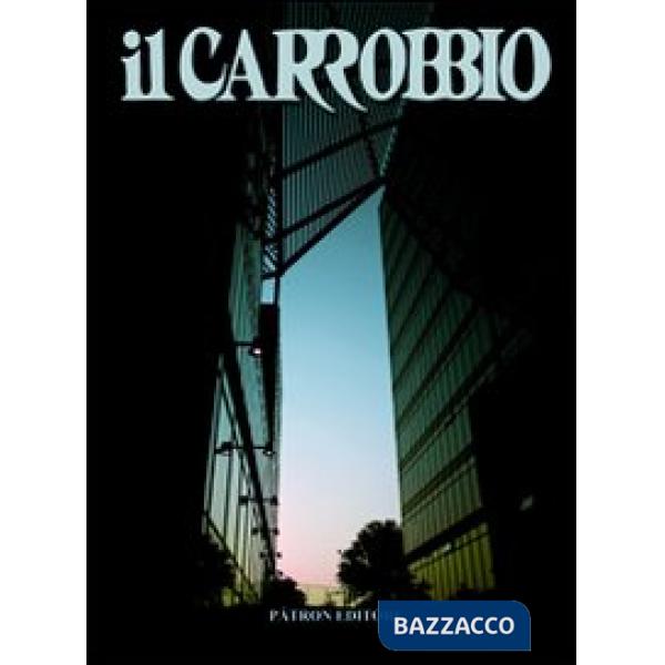 Carrobbio. Tradizioni, problemi, immagini dell'Emilia Romagna (2010) (Il). Vol. 36
